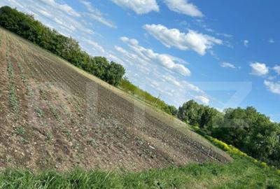 Teren de 4800 mp, în Central