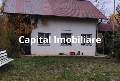 Casa Baicoi 95 mp Sc, 2578 mp teren - 3