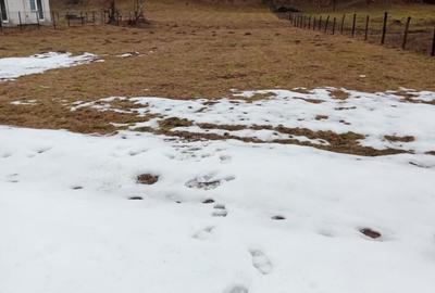 Spațiu comercial, în Vidra - 1