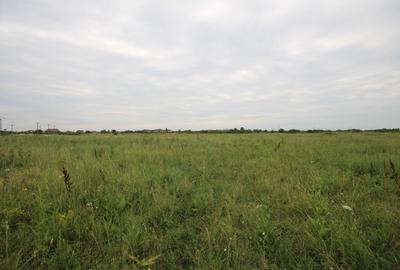 Teren agricol extravilan de 9400 mp, în Mehala - 6