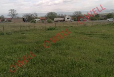 Teren agricol intravilan de 25000 mp, în Moacșa - 6