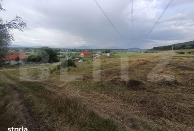 Teren de 3600 mp, în Central