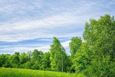 Teren Construcții intravilan de 11600 mp, în Câmpulung Muscel - 4