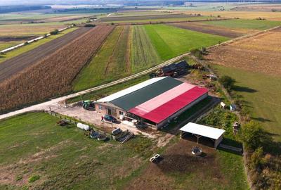 FILM! 18.000 mp,extravilan,agricol constructii, recomandat:f - 11