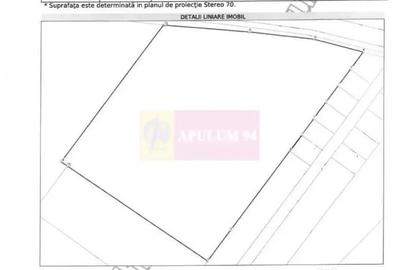 Teren de 131935 mp, în Est - 6