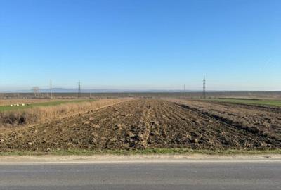 Teren 5000 mp, Valea Mare, Babeni DN64 - 2