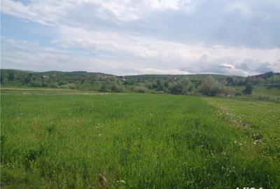 Teren de 2000 mp, în Central