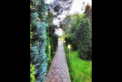 Apartament Tip Penthouse I Scara Interioara I Otopeni - 2