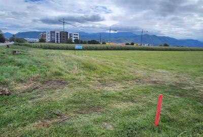 Teren situat in Bartolomeu strada Lanii, suprafata 16.500 mp! - 3