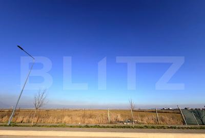 Teren de inchiriat 10.000mp -CRISTIAN - 3