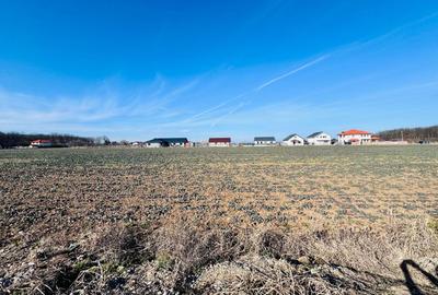 Teren Construcții de 1600 mp, în Ciofliceni - 4