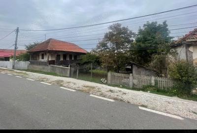 Teren de 6980 mp, în Dobrița - 3