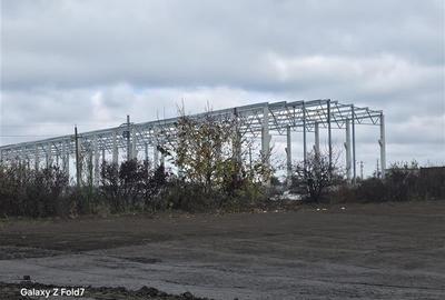 Vanzare depozit/hala/spatiu industrial Mogosoaia - Buftea - 7