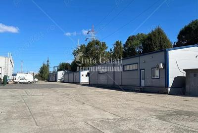 | De Inchiriat | Hala - 150 mp | Tirighina | - 3