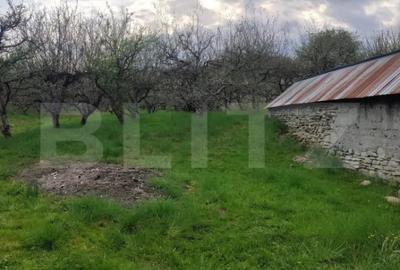 Teren în Voinești - 8