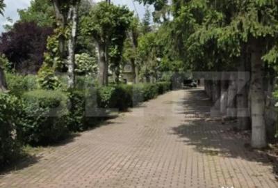 Casă cu 7 camere cu Teren 3833 Mp în Băicoi - 5