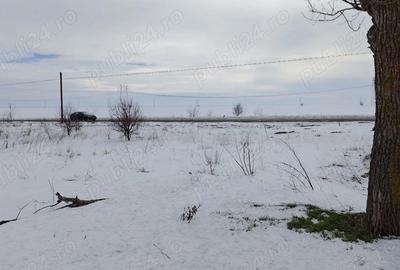 Spațiu comercial, în Pasărea - 1