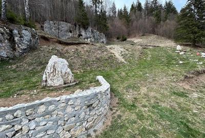 Teren de 6000 mp, în Dâmbovicioara - 9