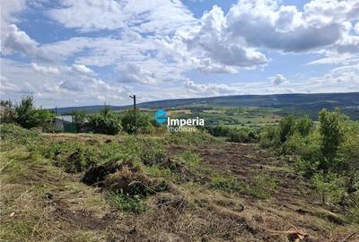 Tomesti Chicerea, 1183 MP teren intravilan cu utilitati in apropiere! - 2