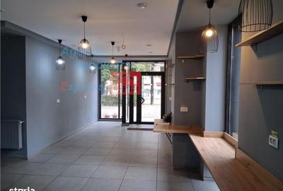 Spațiu comercial, de 100 mp, în Nicolina - 11