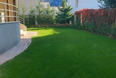 Casă individuală cu 6 camere cu Canalizare în Pipera