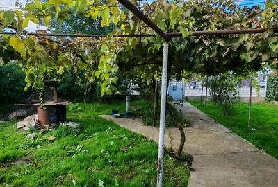 Teren vânzare zona Viile Noi - 10