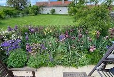 Casă cu 4 camere în Agrișteu - 7