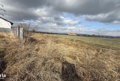 Teren de 650 mp, în Letea Veche