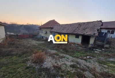 Casă individuală cu 2 camere cu Canalizare în Pâclișa - 4