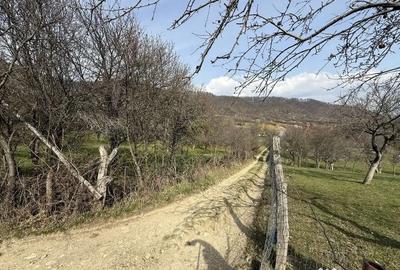 Teren în Central - 6