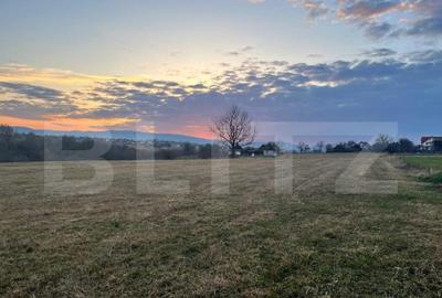 Teren de 27759 mp, în Central - 11