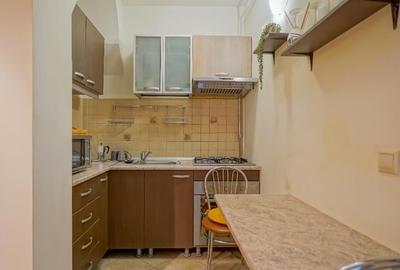 Apartament renovat si mobilat cu curte interioara Republicii pietonal - 7