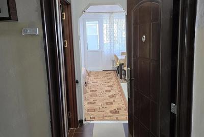 Garsonieră semidecomandată în Brazda lui Novac - 9