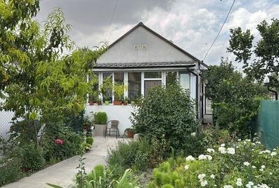 Casa cu suflet in centrul Medgidiei- gradina superba - 26