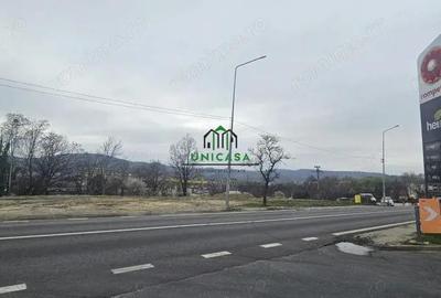 Teren intravilan /3211mp / Calea Bucuresti - 4