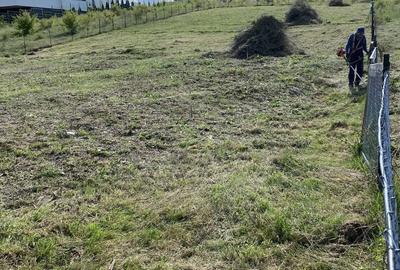 Spațiu comercial, în Sălicea - 10