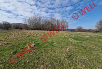 De vânzare teren extravilan în localitatea Brădet! De vânzare teren extravilan în localitatea Brădet! - 10