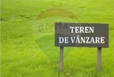 Teren agricol extravilan de 10124 mp, în Nord-Vest - 1