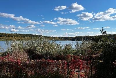 Teren Construcții intravilan de 1170 mp, în Siliștea Snagovului