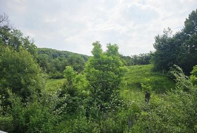 Teren intravilan lângă pădure – 1659 mp,  C.U. P+2E, Vărbilău - 3