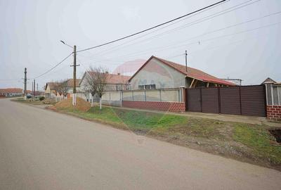 Casă cu 3 camere cu Teren 3474 Mp în Sânnicolau Român - 14