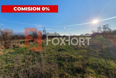 Casă individuală cu 4 camere în Pădureni (Jebel) - 3