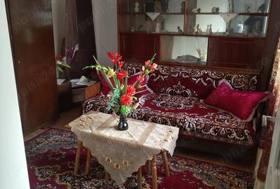 Vand casa in Comuna Daeni Jude?ul Tulcea - 7