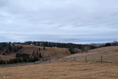Spațiu comercial, în Măguri - 8