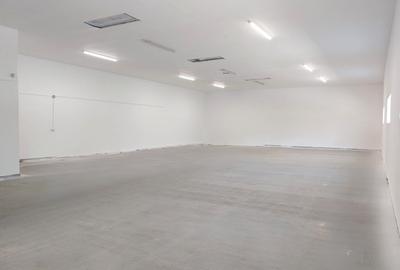 Spațiu industrial, de 245 mp, în Eminescu - 1