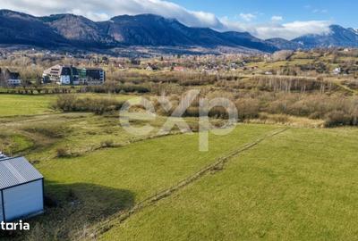 Spațiu comercial, în Bran - 4