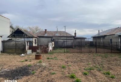 Casă cu 3 camere cu Teren 5239 Mp în Brazi - 5
