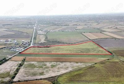 Teren vast in Satu Mare | 76.624 mp pentru dezvoltare imobiliara si servicii - 4