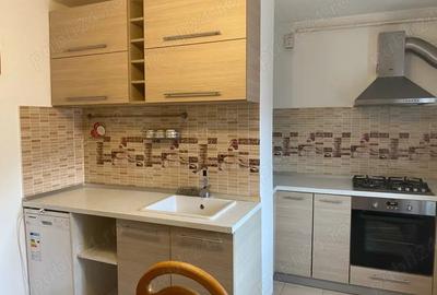 Apartament cu 2 camere decomandat în Scriitorilor - 6