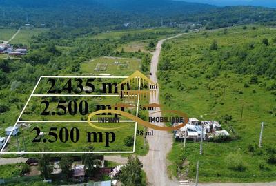 Teren pentru constructie hala indrustriala - Moinesti/Bacau - 4